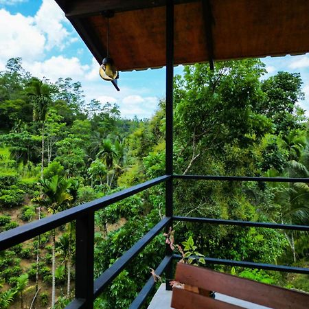 Sunshine Forest Lodge - Sinharaja Deniyaya Exteriör bild