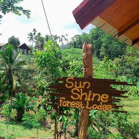 Sunshine Forest Lodge - Sinharaja Deniyaya Exteriör bild