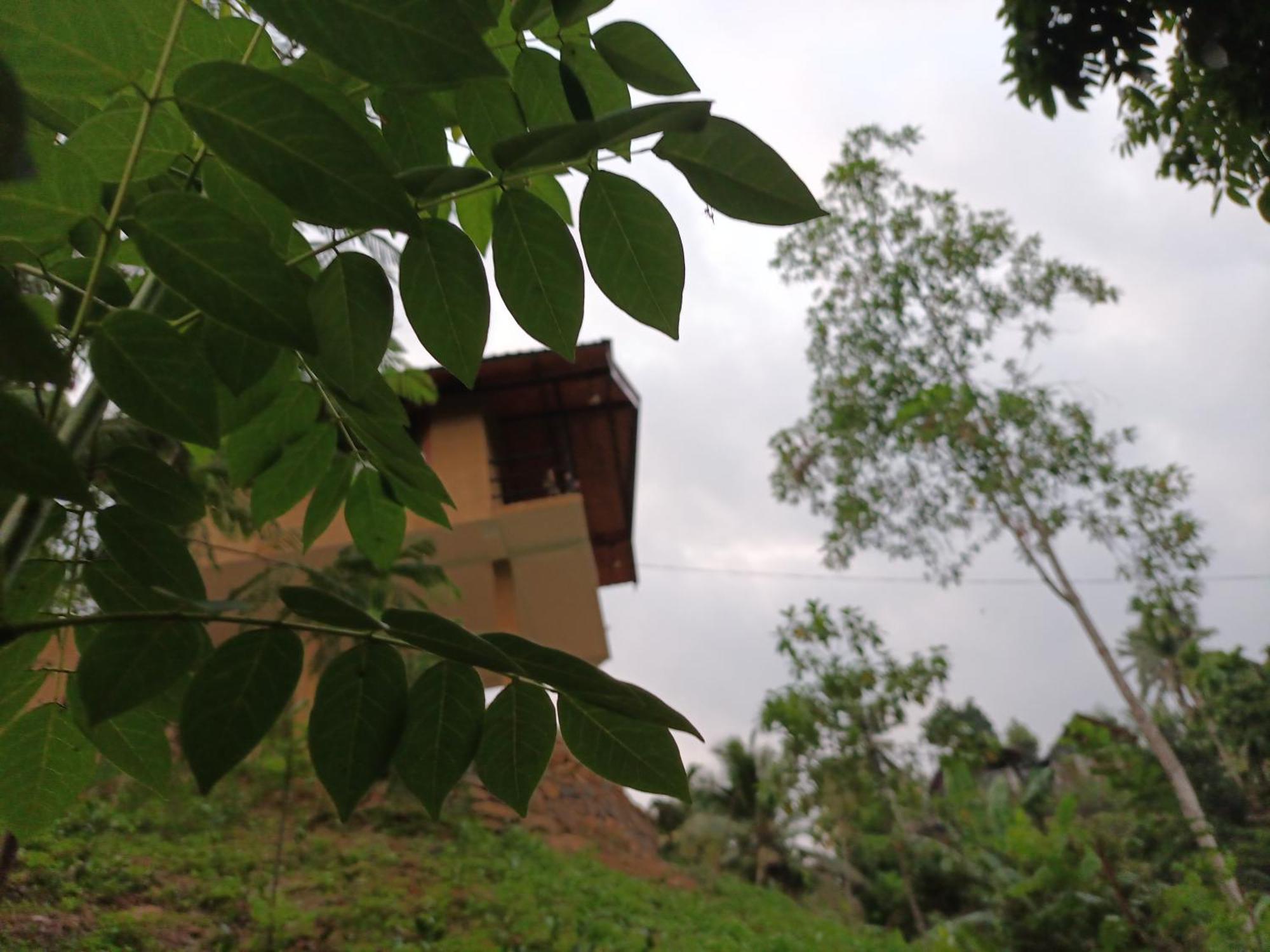 Sunshine Forest Lodge - Sinharaja Deniyaya Exteriör bild