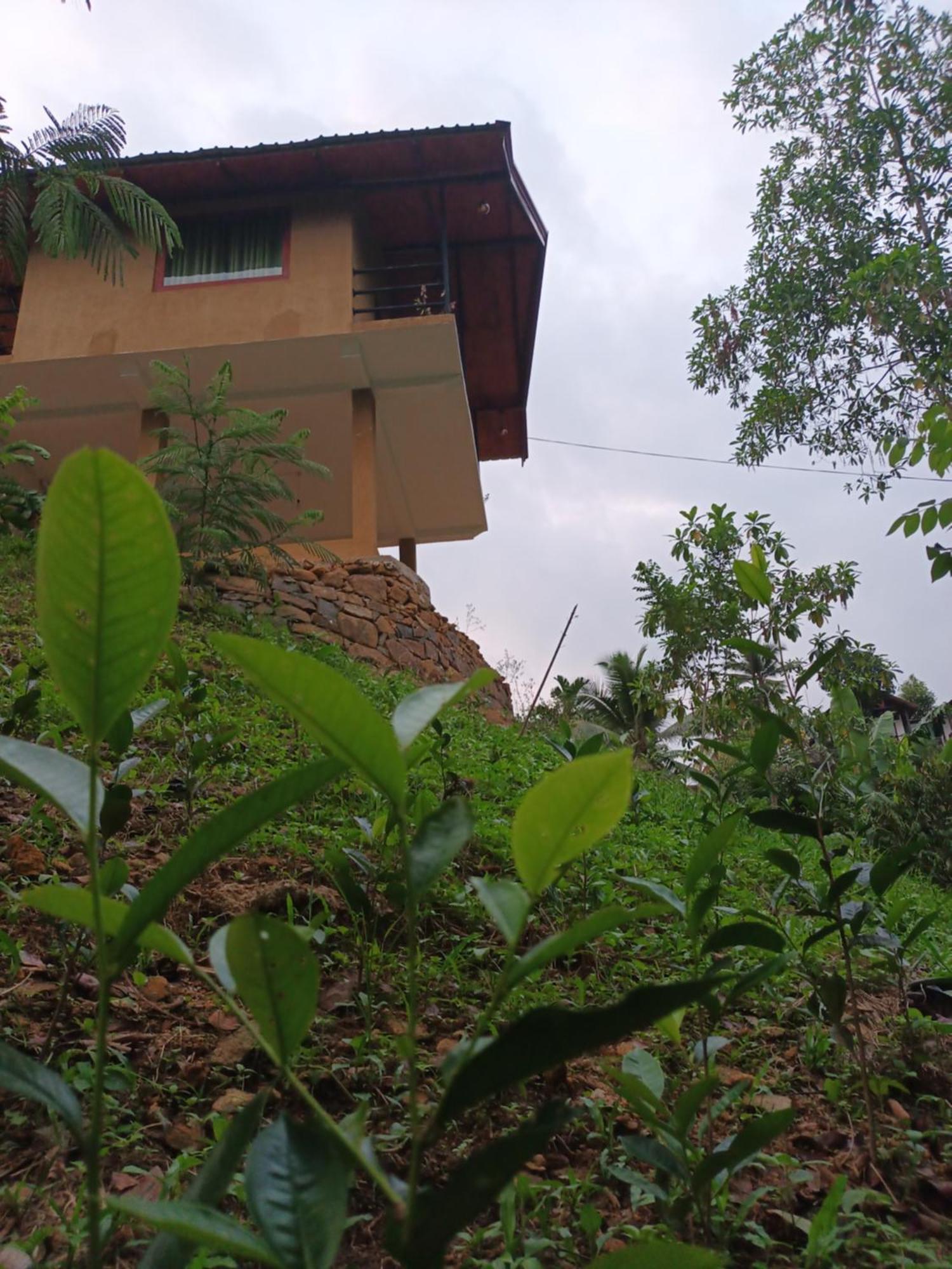 Sunshine Forest Lodge - Sinharaja Deniyaya Exteriör bild