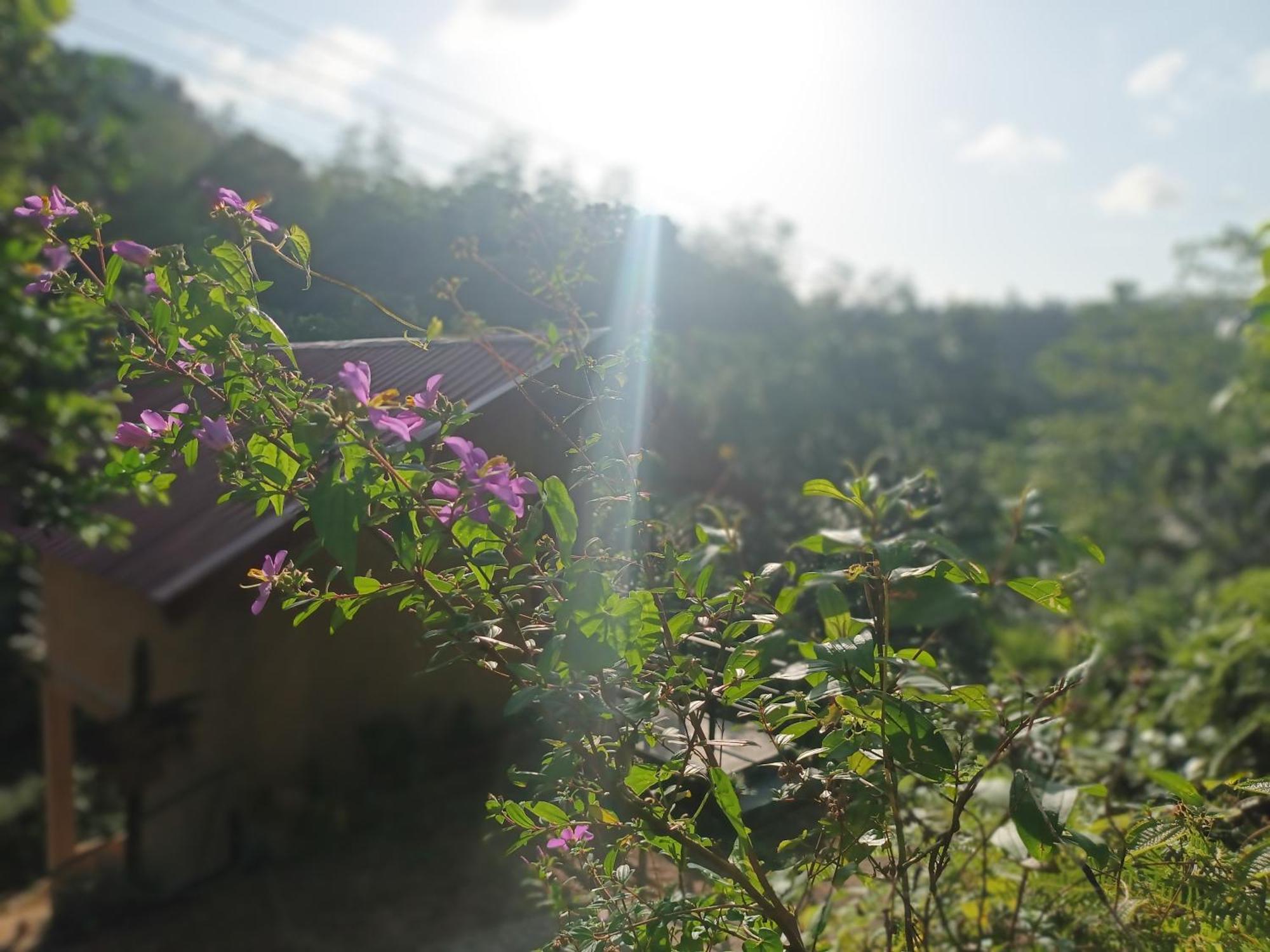 Sunshine Forest Lodge - Sinharaja Deniyaya Exteriör bild