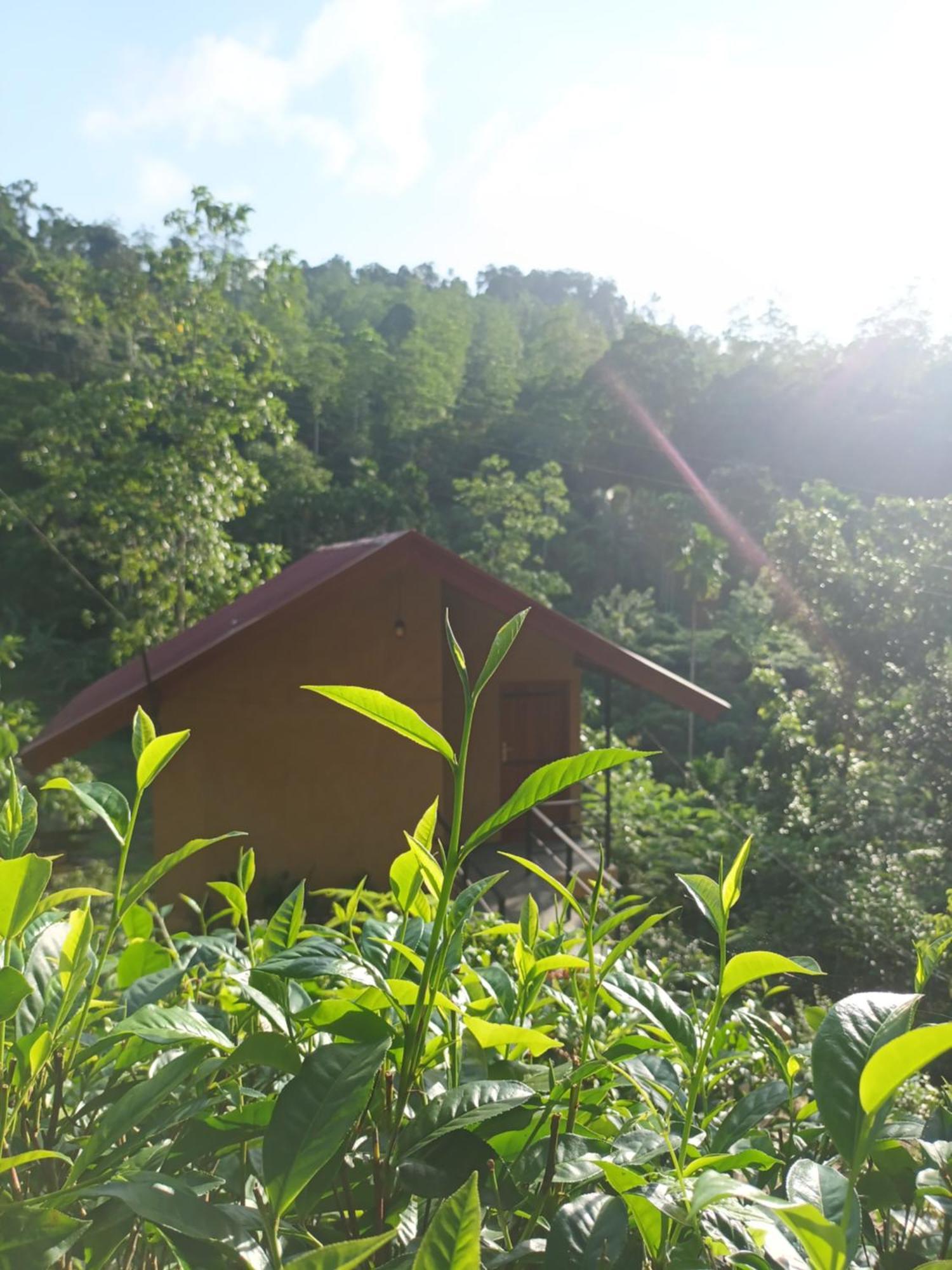 Sunshine Forest Lodge - Sinharaja Deniyaya Exteriör bild