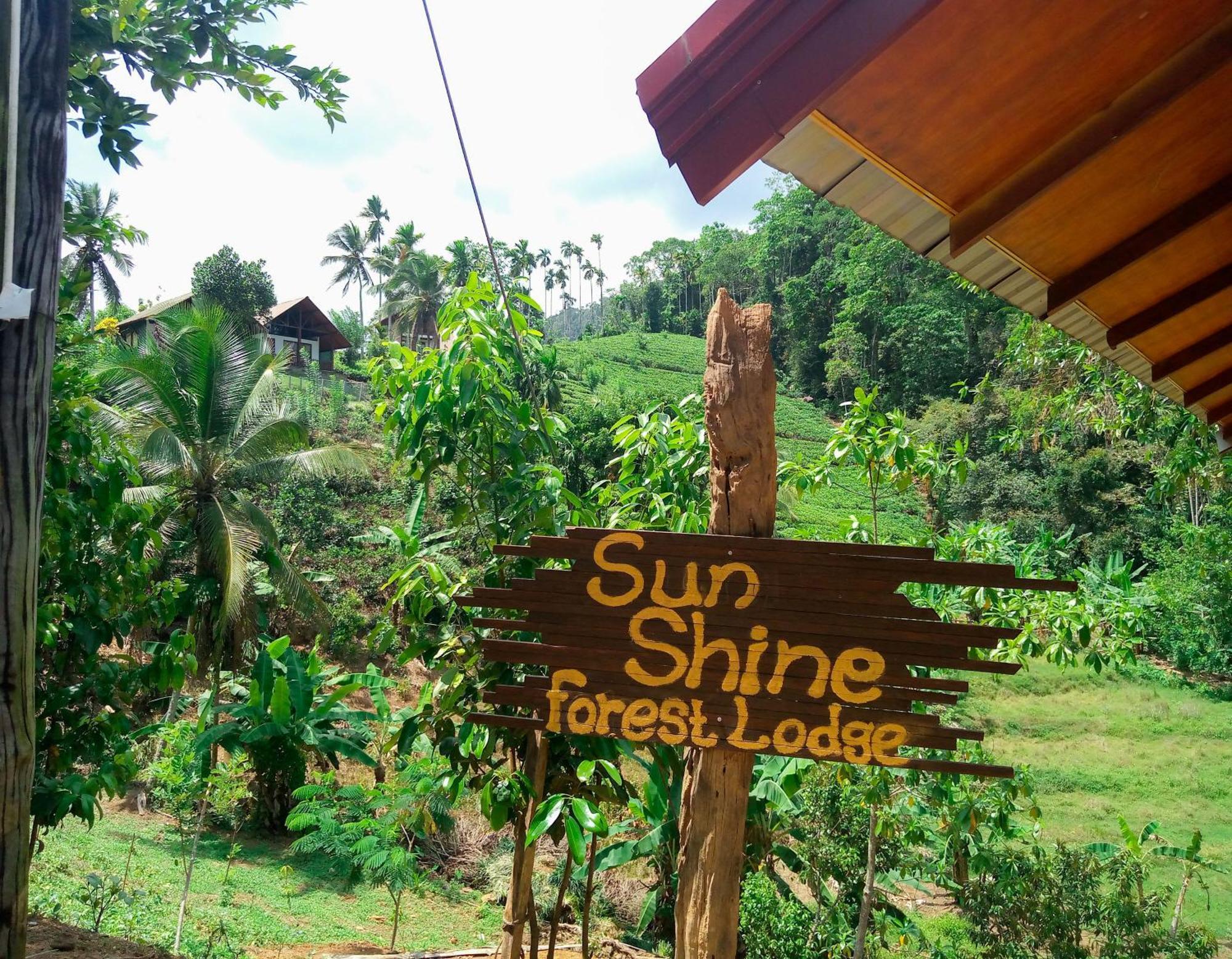Sunshine Forest Lodge - Sinharaja Deniyaya Exteriör bild